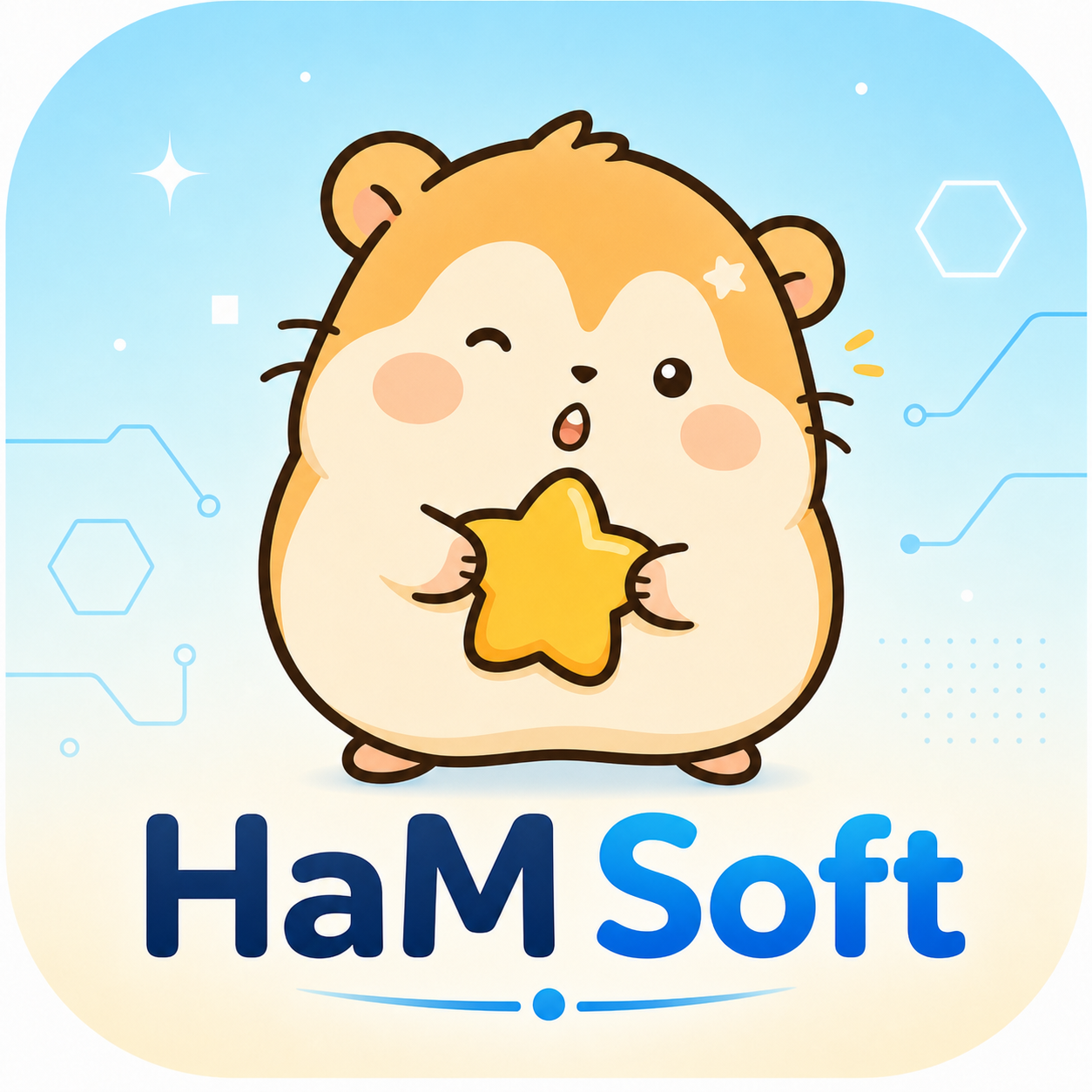 HaM Soft